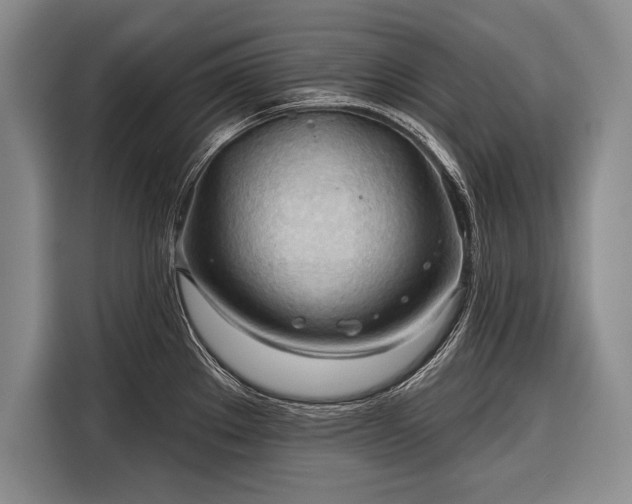 X0000116321289200912091012