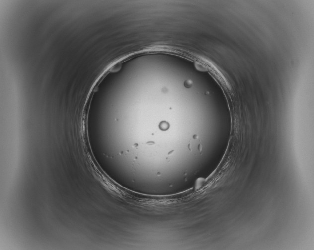 X0000116321292200912091012