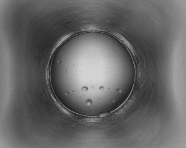 X0000116321293200912091012