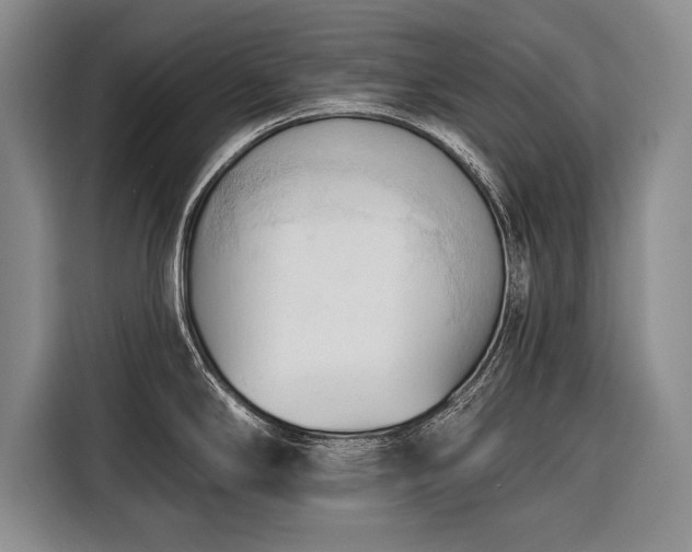 X0000116321294200912091012