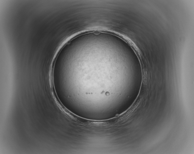 X0000116321295200912091012