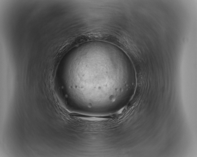 X0000116321297200912091011