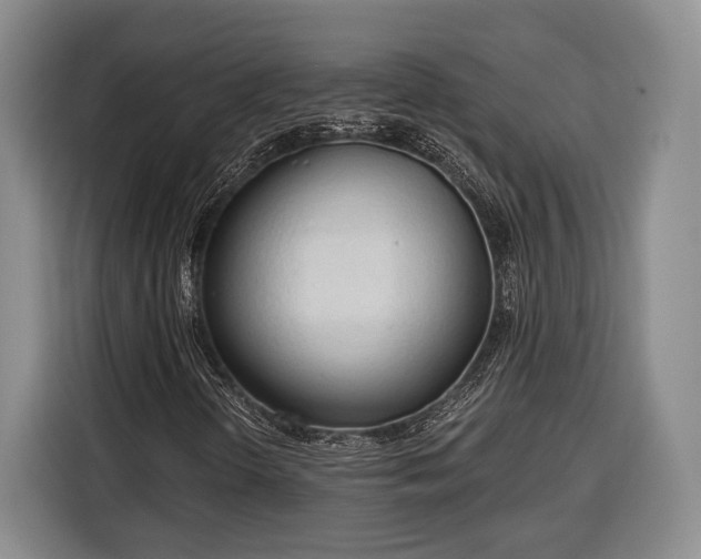 X0000116321298200912091011