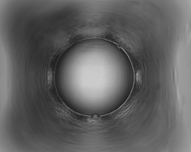 X0000116321299200912091011