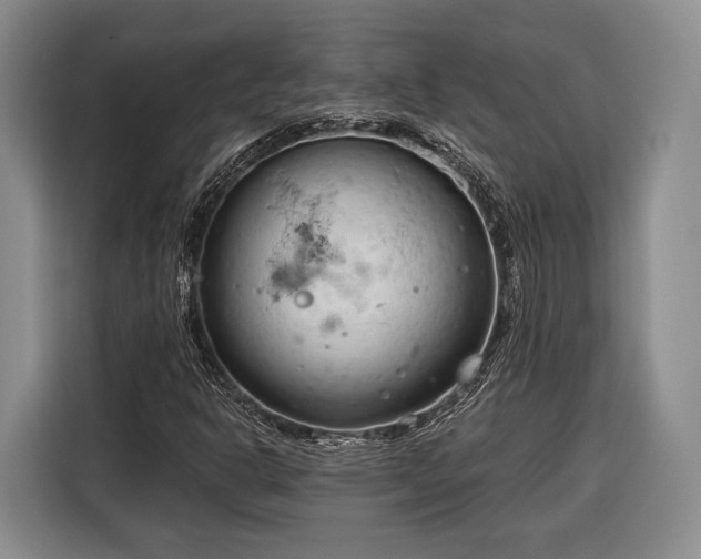 X0000116321302200912091011