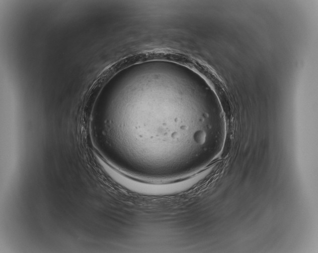 X0000116321303200912091011