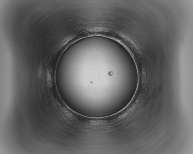 X0000116321305200912091011