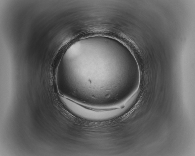 X0000116321306200912091011