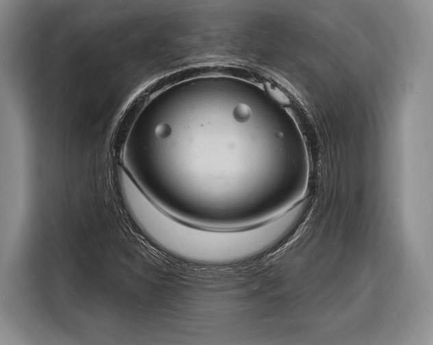 X0000116321310200912091011