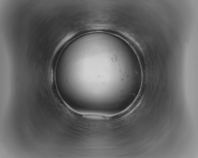 X0000116321317200912091011