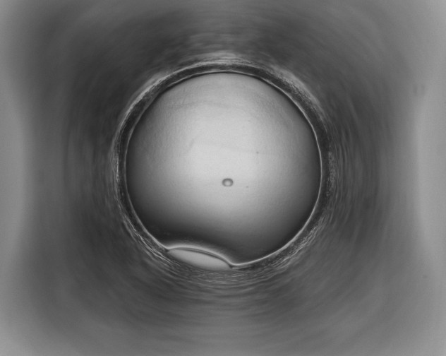 X0000116321318200912091011