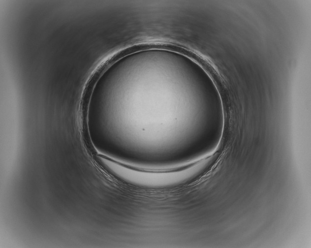 X0000116321319200912091011