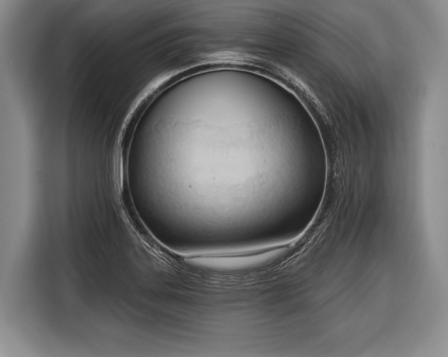 X0000116321323200912091011