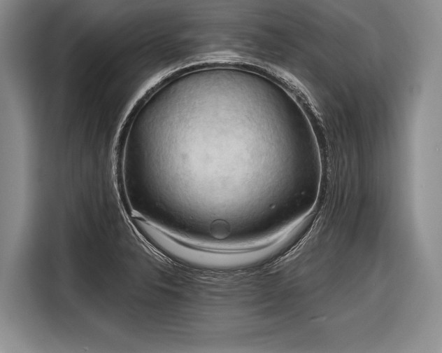 X0000116321326200912091011