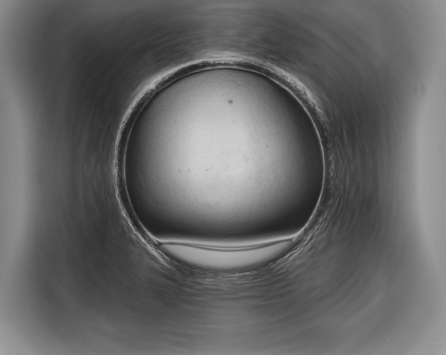 X0000116321327200912091011