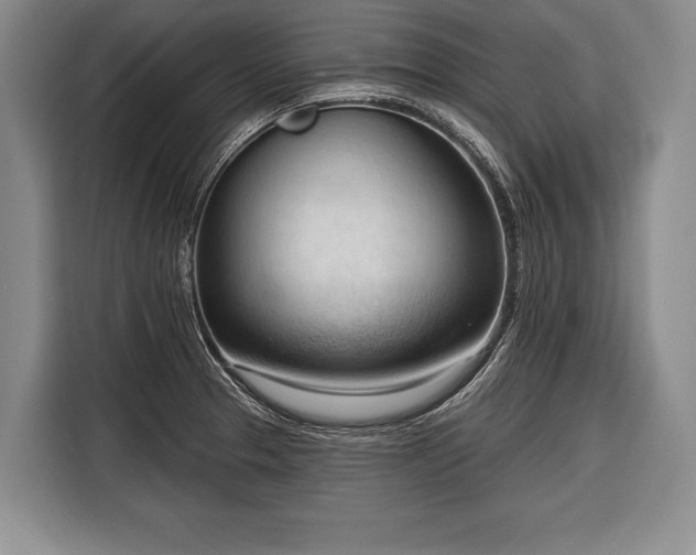 X0000116321329200912091011