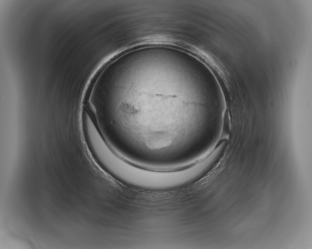 X0000116321331200912091011