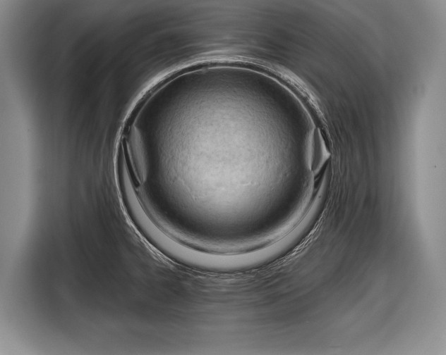 X0000116321334200912091011