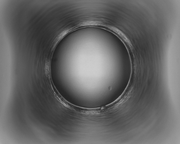 X0000116321337200912091011