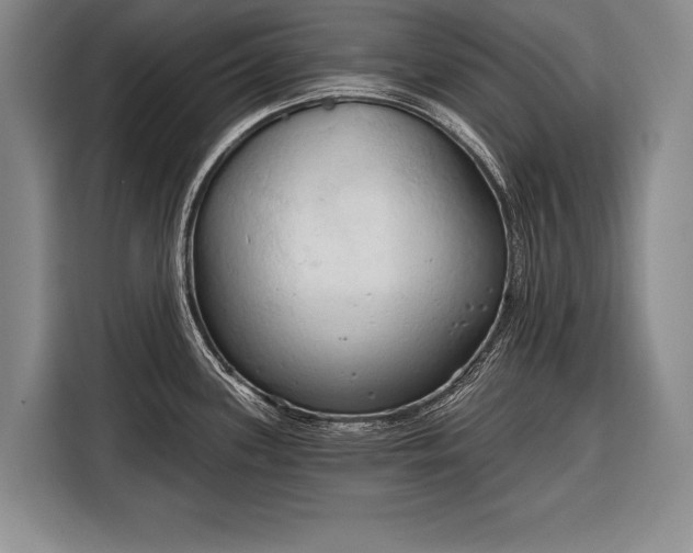 X0000116321339200912091011