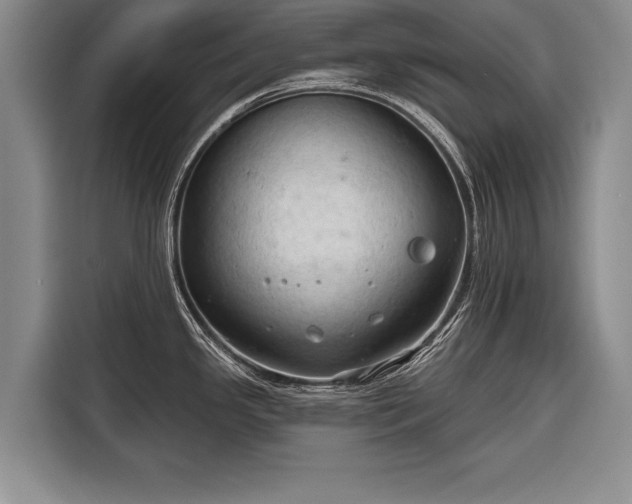 X0000116321341200912091011