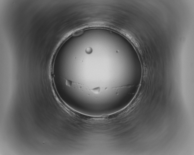 X0000116321342200912091011