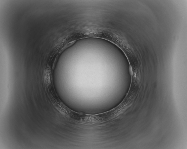 X0000116321348200912091011