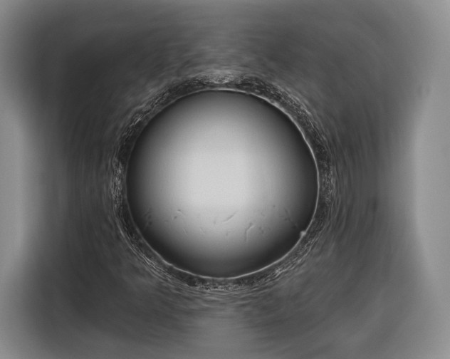 X0000116321349200912091011