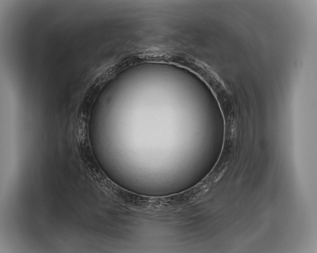 X0000116321350200912091011