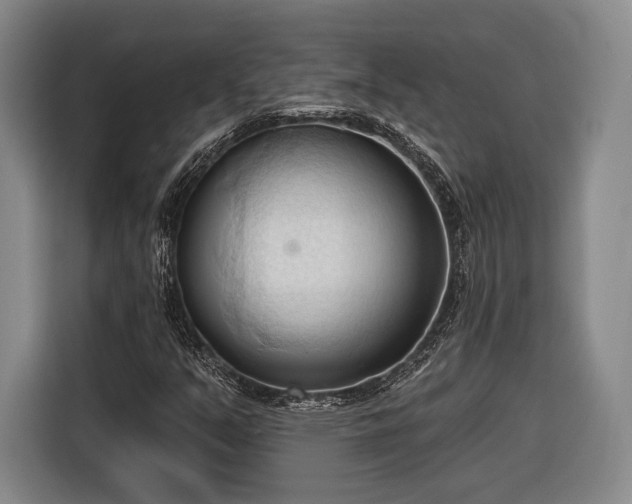 X0000116321351200912091011