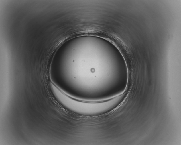 X0000116321353200912091011