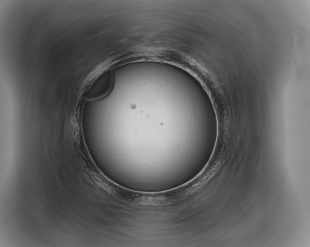 X0000116321354200912091011