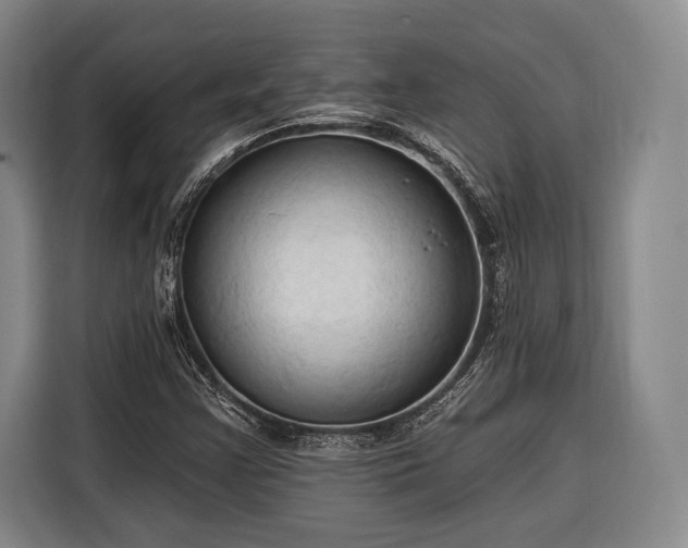 X0000116321355200912091011