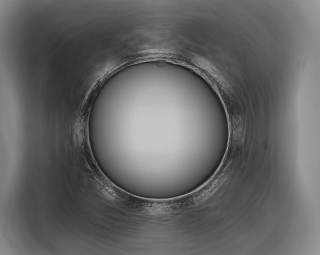 X0000116321357200912091011