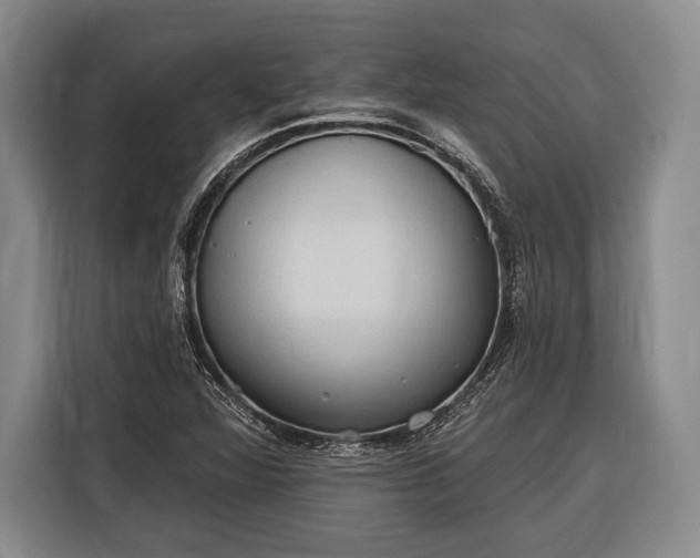 X0000116321360200912091011