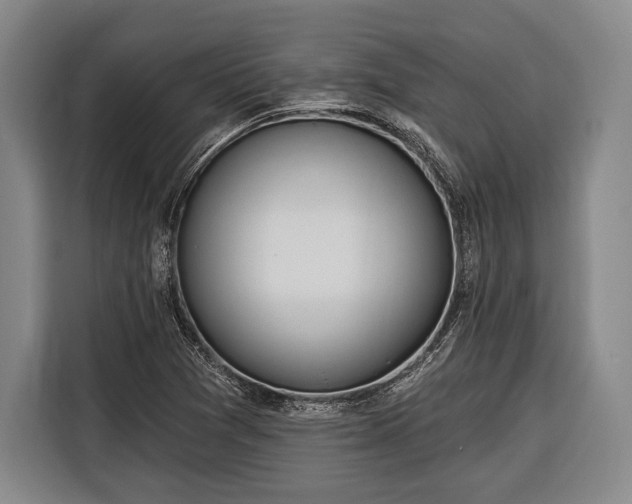 X0000116321361200912091011