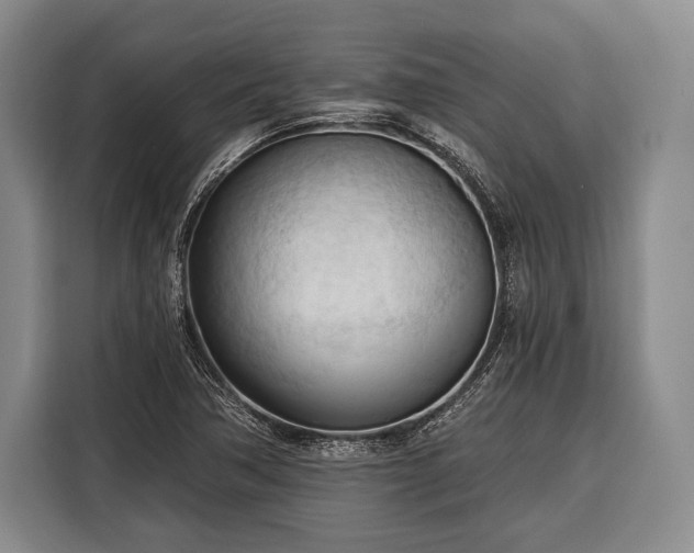 X0000116321362200912091011