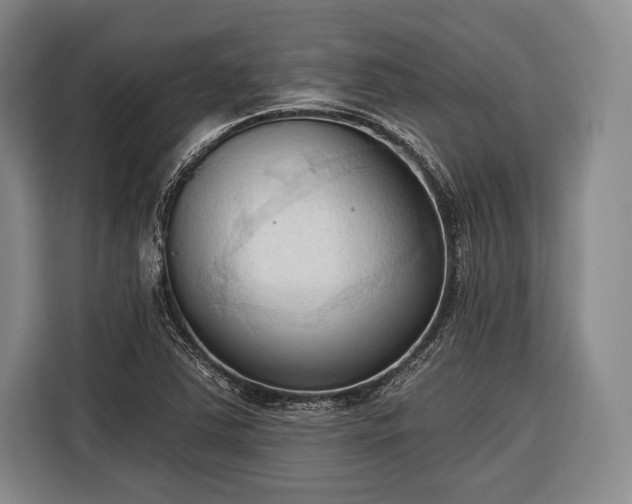 X0000116321363200912091011