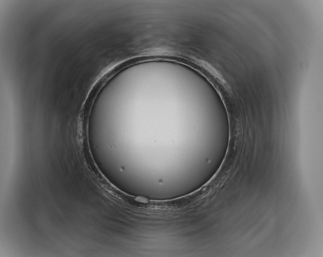 X0000116321364200912091011