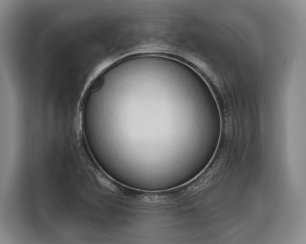 X0000116321366200912091011