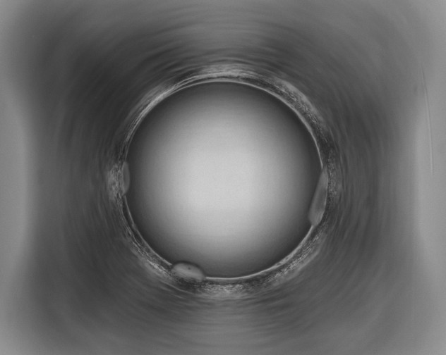 X0000116321369200912091011