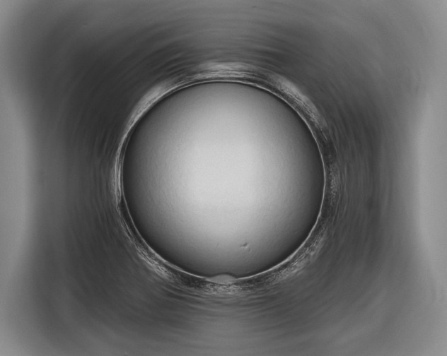 X0000116321370200912091011