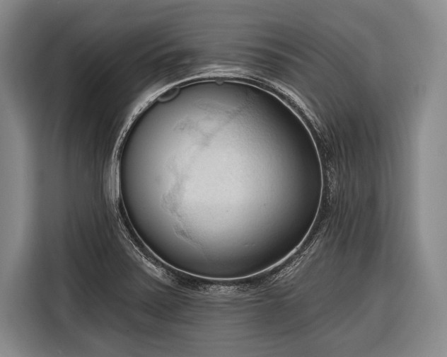 X0000116321371200912091011