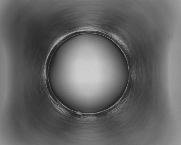 X0000116321372200912091011