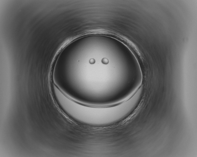 X0000116321373200912091011