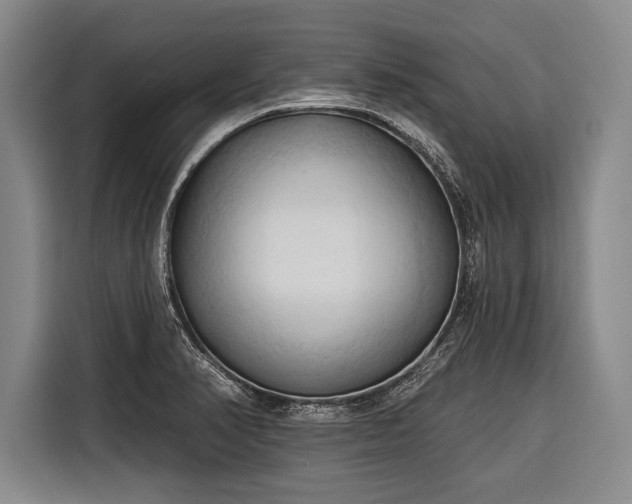 X0000116321374200912091011