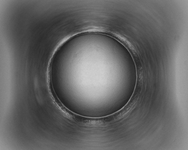 X0000116321375200912091011