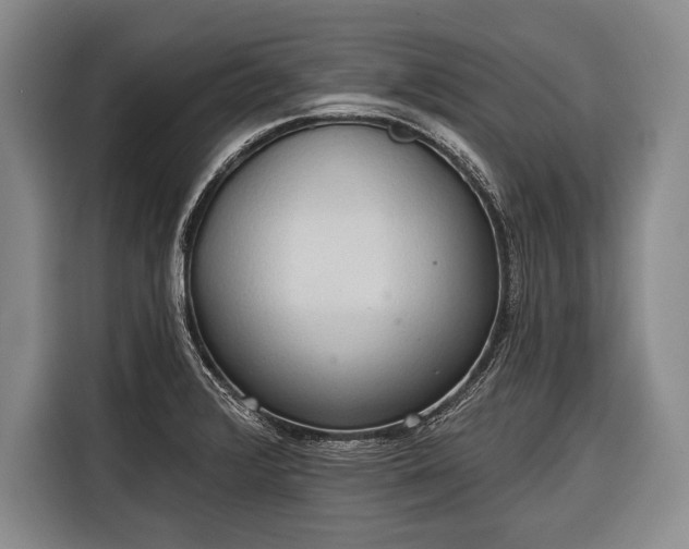 X0000116321376200912091010