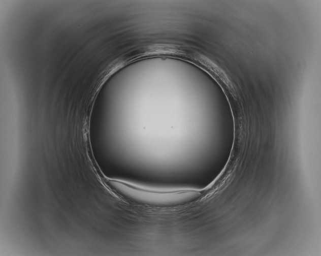 X0000116321377200912091010