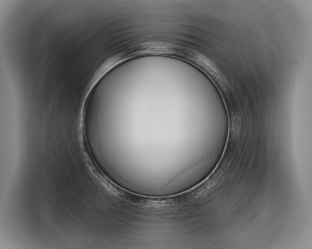 X0000116321378200912091010